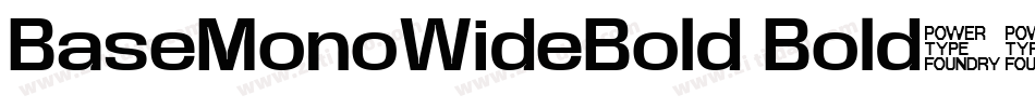 BaseMonoWideBold Bold字体转换